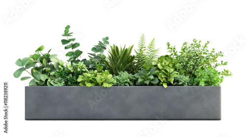 modern planter box with plants isolated on white background, 
