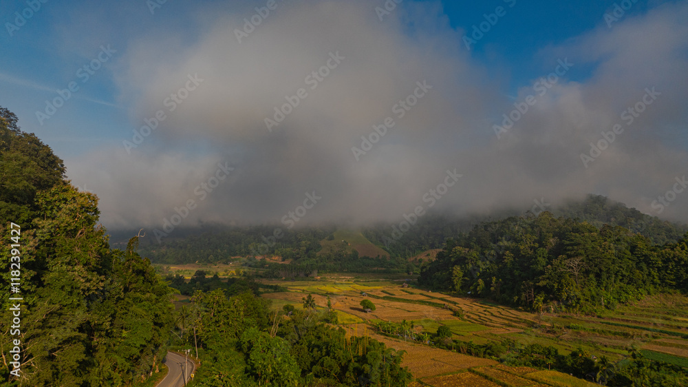 An aerial view of terraced rice fields in a charming valley of golden rice fields and lush forests covered in morning mist, creating a peaceful and atmospheric rural atmosphere. beautiful nature