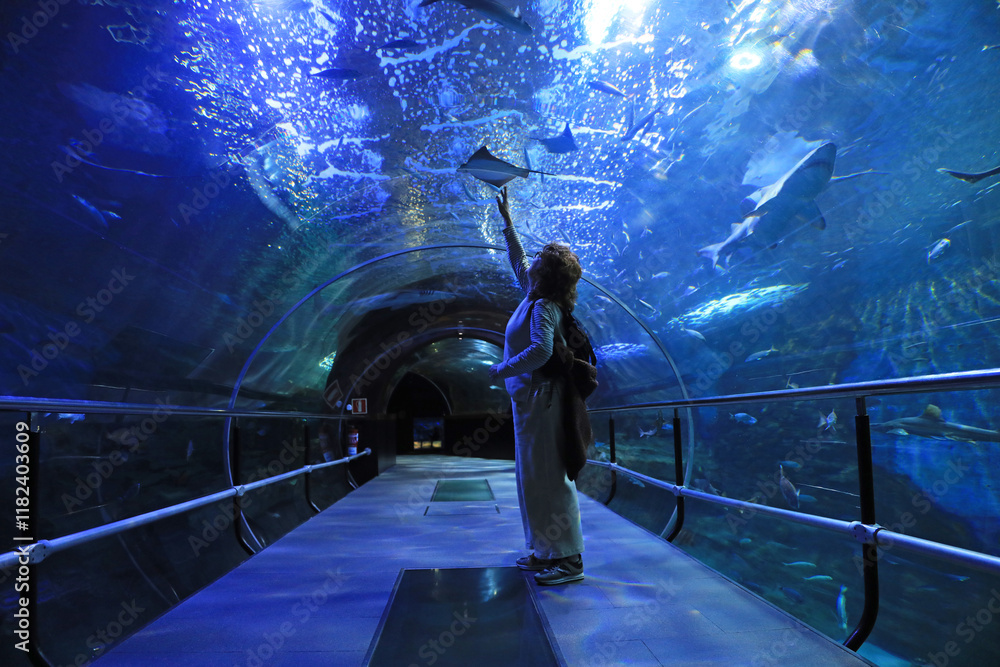 Fototapeta premium mujer mirando un pez manta raya en el tunel del aquarium de donostia san sebastian 4M0A4812-as25
