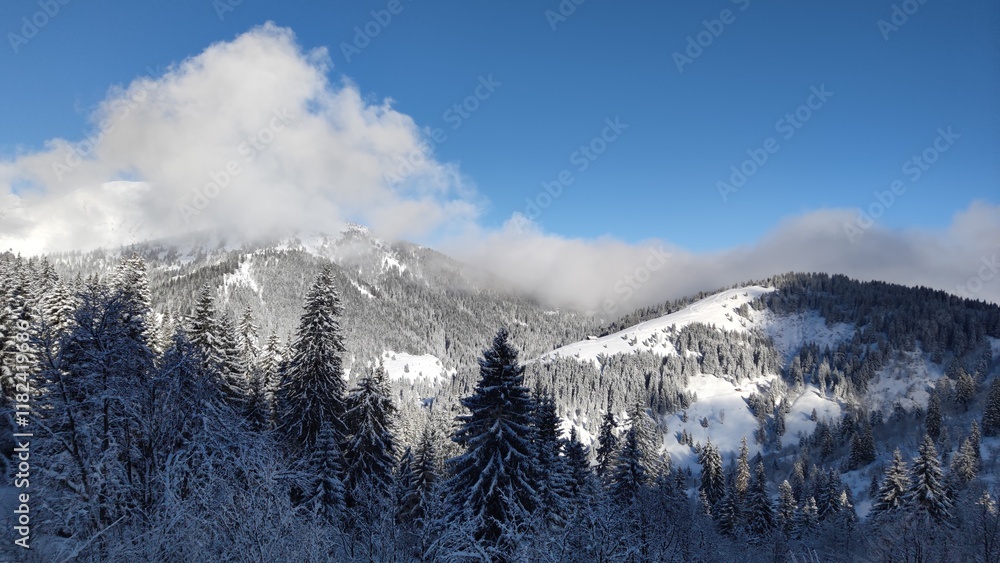 Obraz premium Downhill Ski Slope near Megeve in French Alps, France