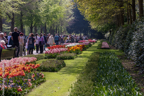 People walking in a park in Holland