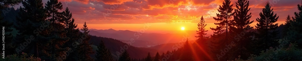 Warm orange glow behind dense spruce trees at sunset, nature, landscape, foliage Warm orange glow behind dense spruce trees at sunset, nature, landscape, foliage