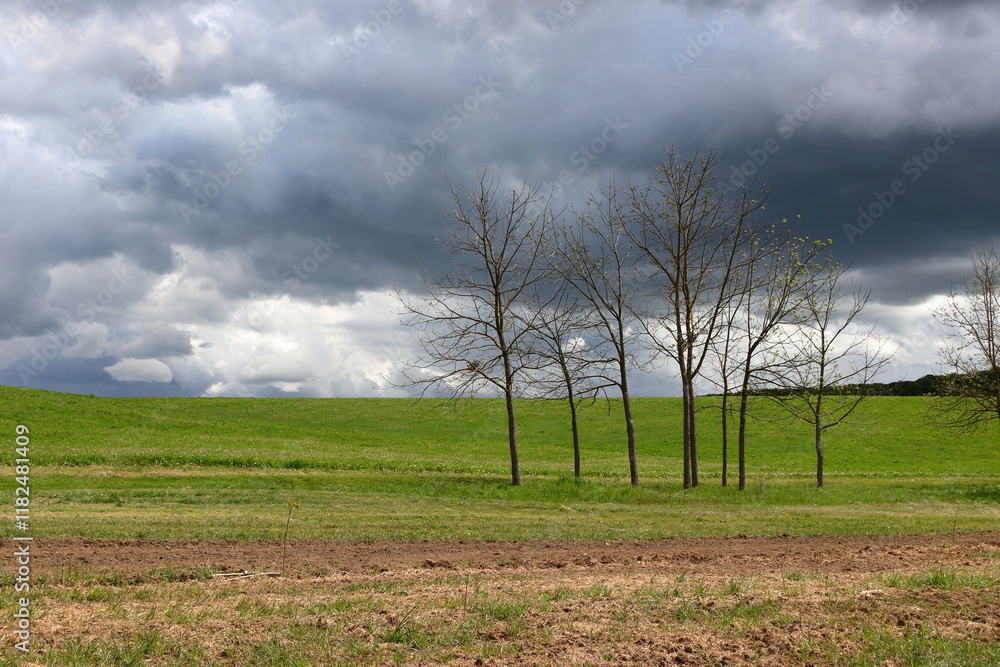 Obraz premium Stormy rural landscape.