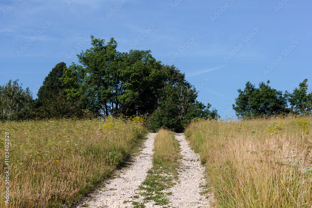Countryside of the Friuli Venezia Giulia called Meadows of Tribil, North Italy Countryside of the Friuli Venezia Giulia called Meadows of Tribil, North Italy