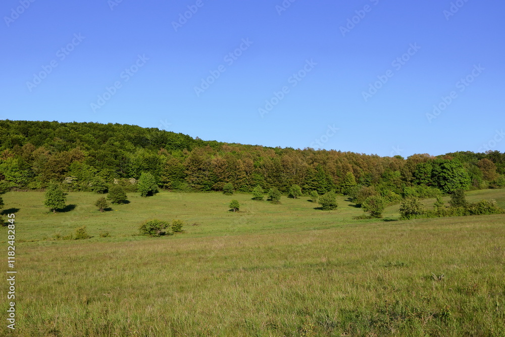 Beautiful spring landscape with bright colors. Beautiful spring landscape with bright colors.