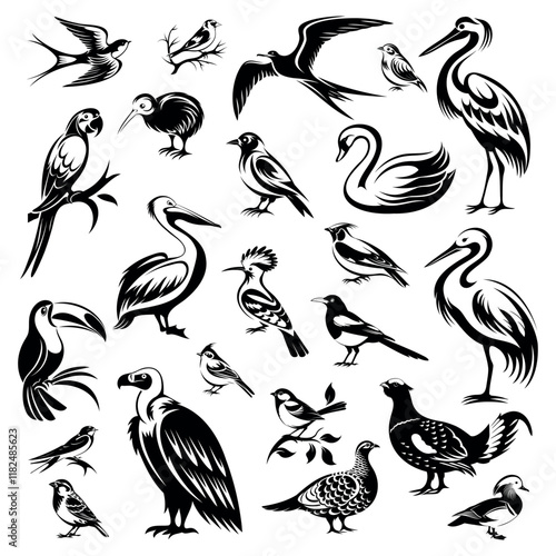 
set of icons, logo of bird species on white background