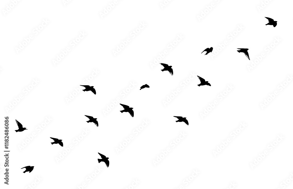 Fototapeta premium Flying birds silhouette flock. hand drawing. Not AI. Vector illustration