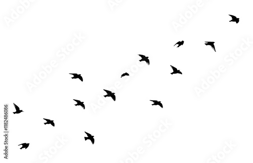 Flying birds silhouette flock. hand drawing. Not AI. Vector illustration