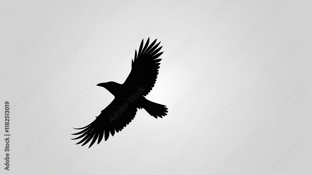 Fototapeta premium Black silhouette of a flying crow with outstretched wings and sharp claws.