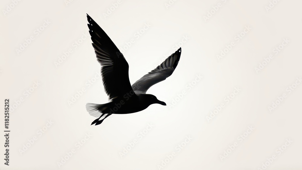 Obraz premium Silhouette of a soaring seagull with graceful wings, ideal for minimalistic wildlife designs.