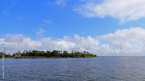 Marsh grasses and trees on the shore at Corolla, North Carolina photo