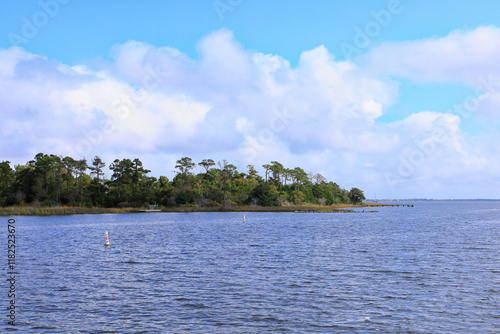 Marsh grasses and trees on the shore at Corolla, North Carolina photo