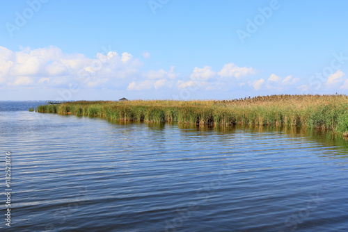 Marsh grasses on the shore at Corolla, North Carolina
