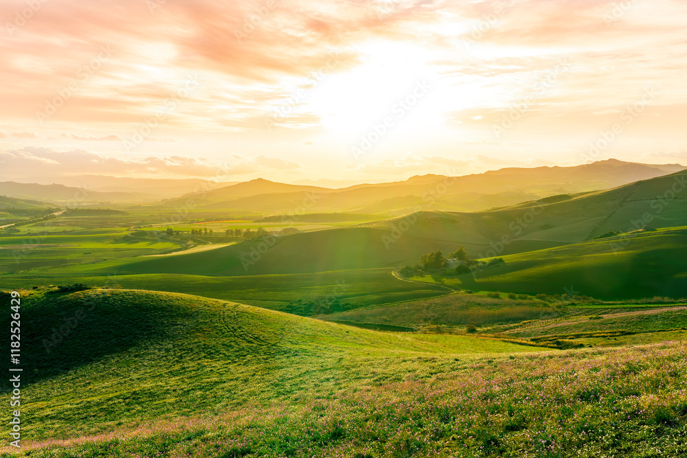Obraz premium beautiful green valley with green fields with green spring grass with nive hills and mountains and scrnic colorful cloudy sunset on background of landscape