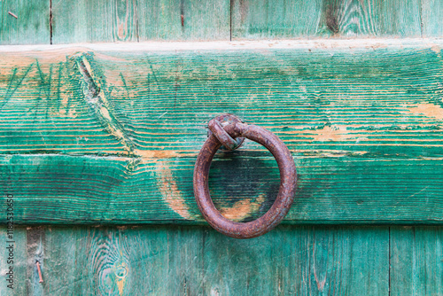 Obraz na plátně Faiyum, Egypt. Iron ring on a green painted wooden gate.