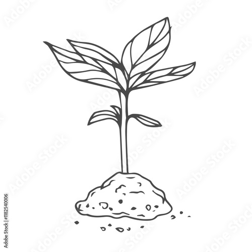 Sprout in sketch style. Garden seedlings, vector illustration.