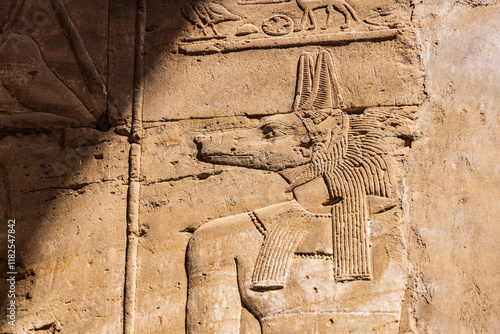 Edfu, Aswan, Egypt. Carving of the god Anubis in the Temple of Horus.