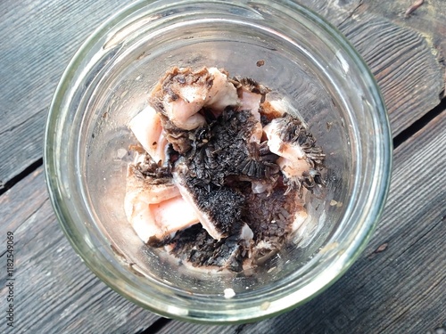 beef stomach in a jar on a table for a dog close-up