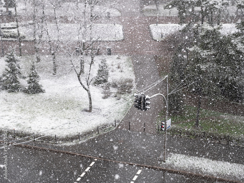 Obraz na płótnie View from the window over heavy fluffy snow falling over the pedestrian crossing with red traffic light and urban park with a lonely person walking. Snowy winter day. w salonie