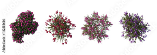 tree top view plant landscape architecture nature garden aerial render. trees branch isolate collection illustration environment green botany urban bush park. tree architecture conifer decorative.