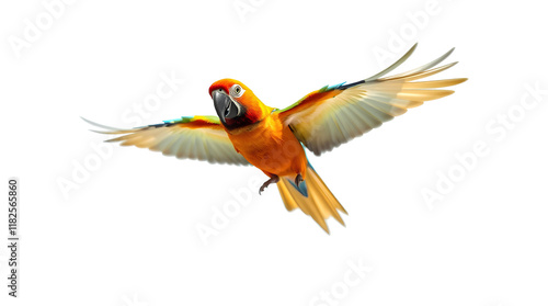 Photo of Colorful flying parrot isolated on transparent background