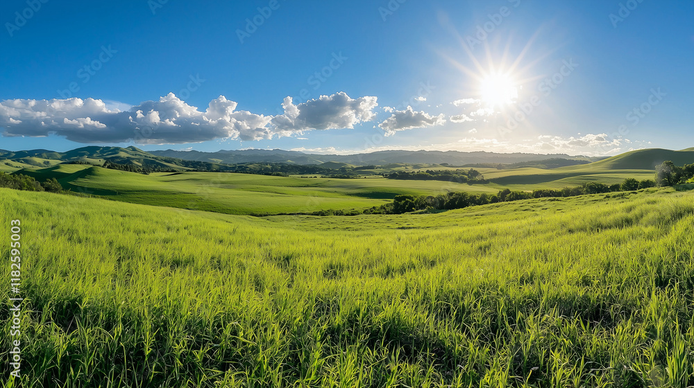 Obraz premium Lush Green Field Under Blue Sky and Bright Sunlight