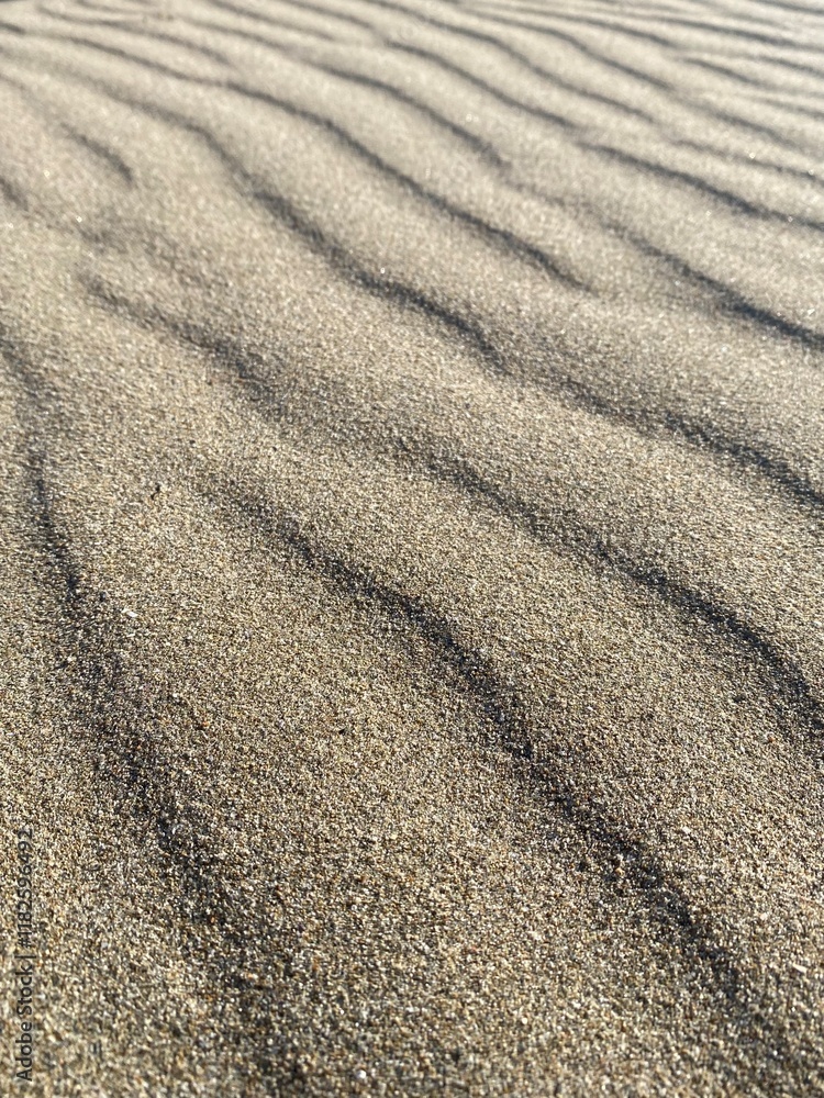 texture of sand texture of sand