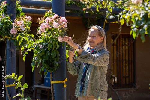 Obraz na płótnie A charming elderly woman carefully pruning the vibrant roses growing on the trellis of her home, embracing the beauty of gardening. w salonie