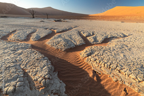 Fototapeta Naklejka Na Ścianę i Meble -  Dry mud on the sand dunes, Namib Desert.