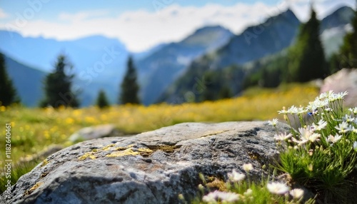 ground level angle view close up surface of rough granite with a floral inspired alpine meadow background blurred edelweiss and mountain pines copy space ad promo template fresh floral tones