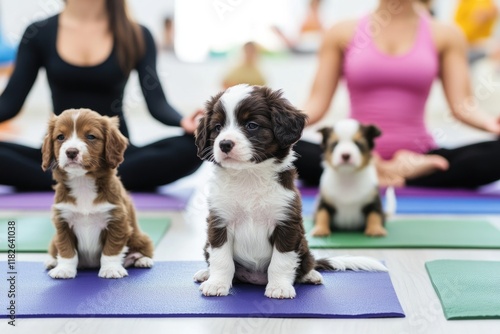 A group of adorable puppies sitting on top of yoga mats, great for promoting pet-friendly and playful themes