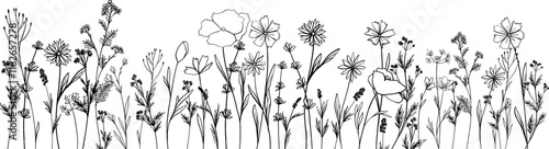 Horizontal seamless banner blooming flowers and leaves silhouette. Spring floral backdrop. Line vector illustration botanical design field wild flowers. Camomile, bluebells, poppy, medicine herbs