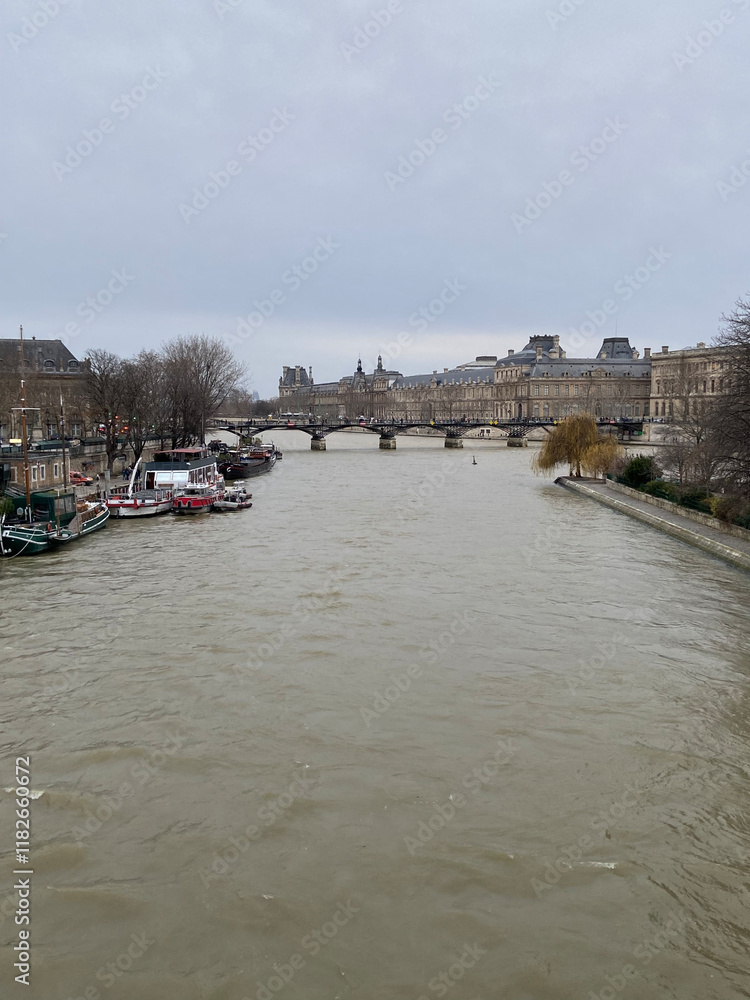 Obraz premium La Seine à Paris en hiver