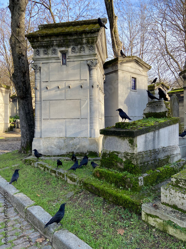 Corbeaux sur une tombe du Père Lachaise à Paris photo