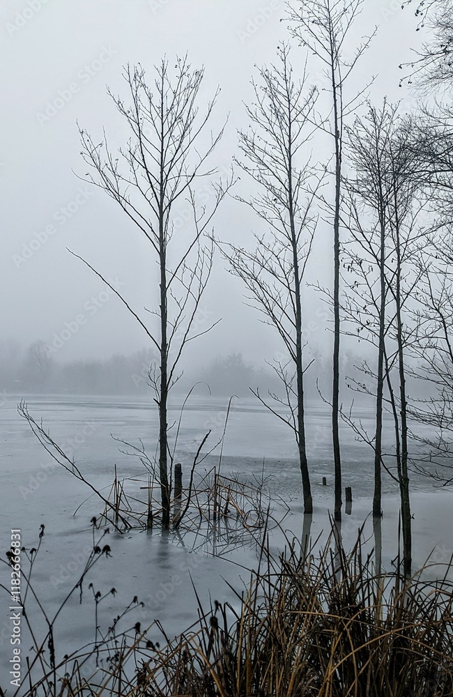Obraz premium tree on the lake