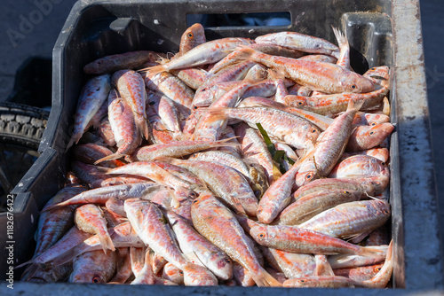 Djerba, Medenine, Tunisia. Fresh fish in a market at the Houmt Souk. photo