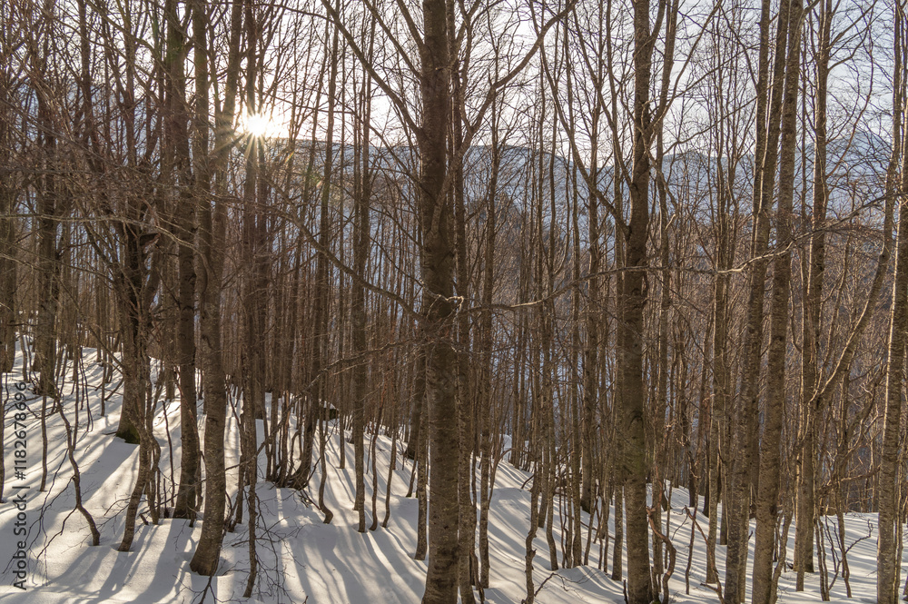 Obraz premium Splendida giornata soleggiata in montagna con la neve