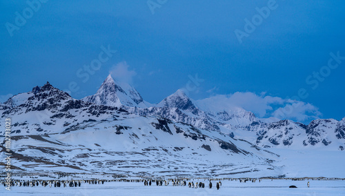 Tableau sur toile South Georgia Island. Colony of king penguins, St. Andrews Bay.