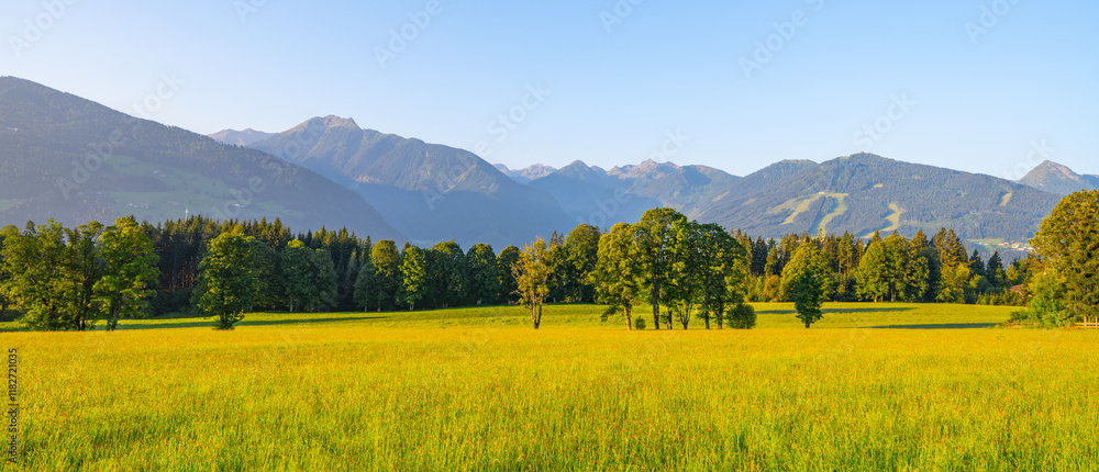 Fototapeta premium Rolling green fields and vibrant trees greet the eye in a summer landscape in the Low Tauern Mountains of Austria. The majestic peaks rise in the distance under a clear blue sky.