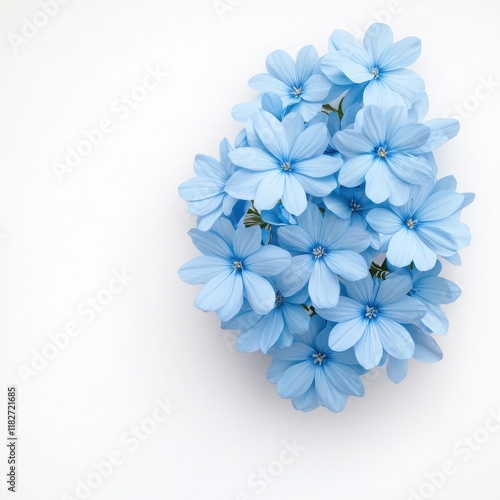 A beautiful arrangement of delicate blue flowers set against a clean white background, symbolizing tranquility and nature's charm.