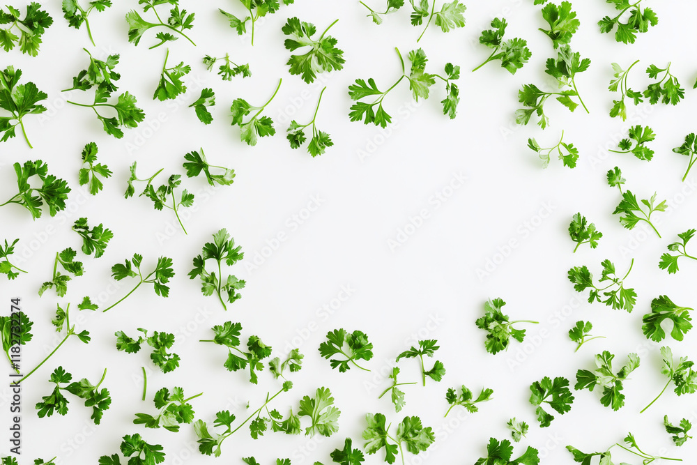 Fresh coriander, top view, clearing on white background Fresh coriander, top view, clearing on white background