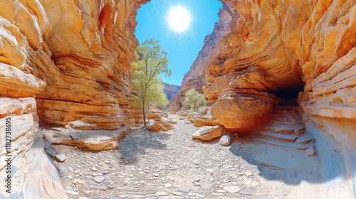 Desert canyon pathway sunlight travel adventure photo