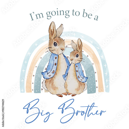 I'm Going to Be a Big Brother - Peter Rabbit and Rainbow Graphic for Sibling Announcement