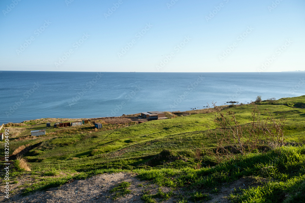 A herd of cattle grazing on a lush green field A herd of cattle grazing on a lush green field