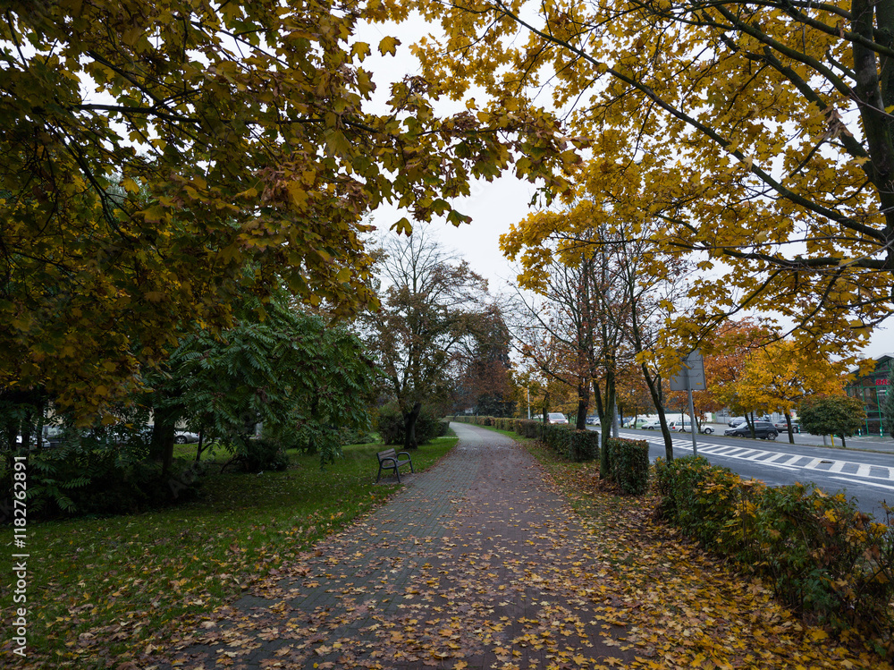 City Park (Park im. Powstańców Wielkopolskich 1918-1919) in Śrem, Wielkopolska, Poland