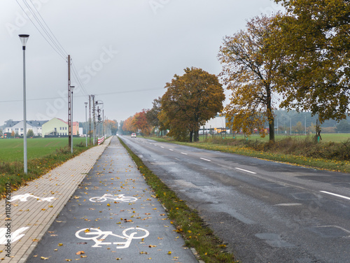 Asphalt road and bicycle path from Zbrudzewo village to Śrem, Wielkopolska, Poland. Autumn landscape