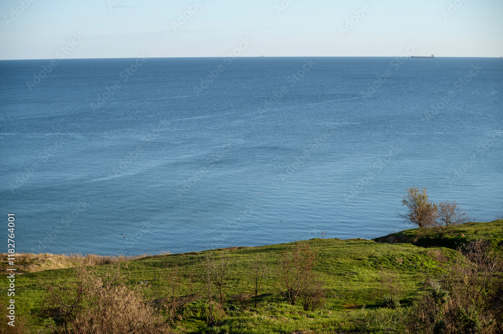 A herd of cattle grazing on a lush green field A herd of cattle grazing on a lush green field