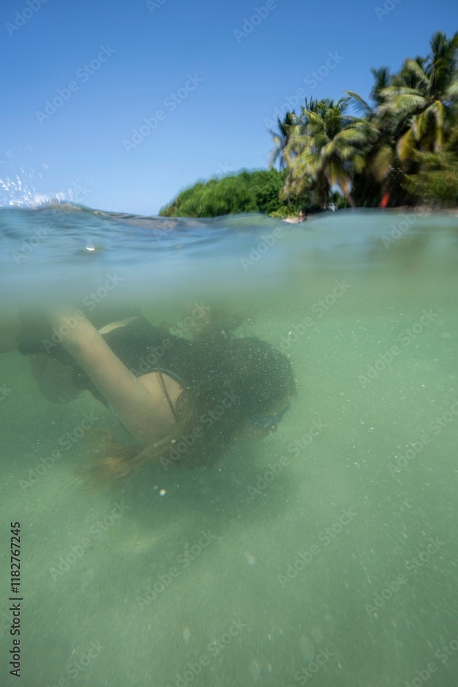 Underwater View of Swimming at Playa Bastimento
Underwater View of Swimming at Playa Bastimento