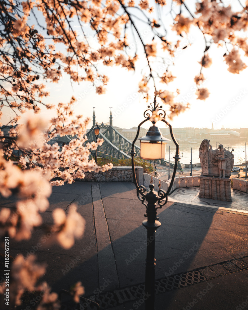 Beautiful Liberty Bridge with almond blossom in Budapest, Hungary