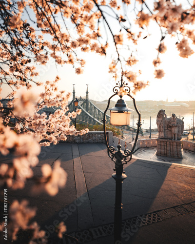 Obraz na płótnie Beautiful Liberty Bridge with almond blossom in Budapest, Hungary w salonie
